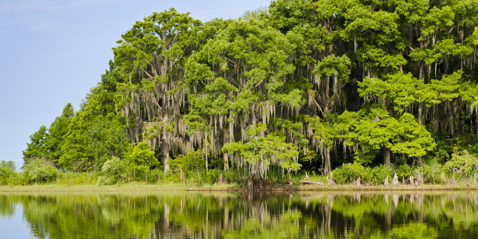 Everglades National Park