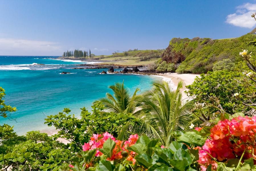 Waikiki Beach