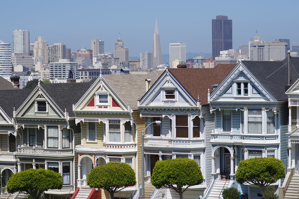 Painted Ladies